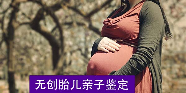 揭阳怀孕6周做胎儿鉴定需要多长时间出结果？