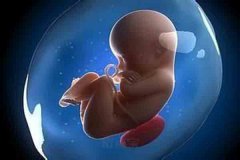 宜宾怀孕6周做孕期亲子鉴定机构的联系方式